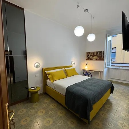 Suite 41