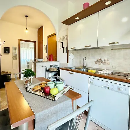 Max Apartment
