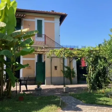 Green House Di Alberto