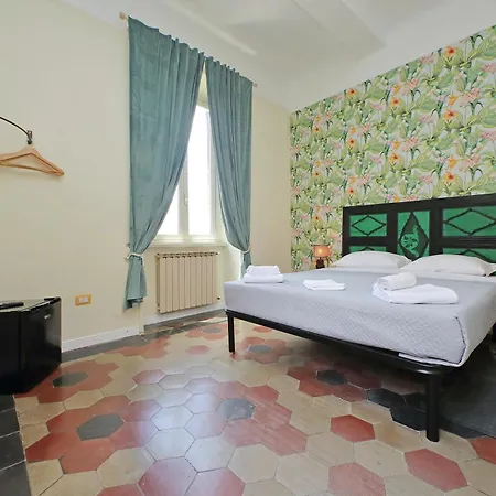 Colosseo Kokedama Rooms