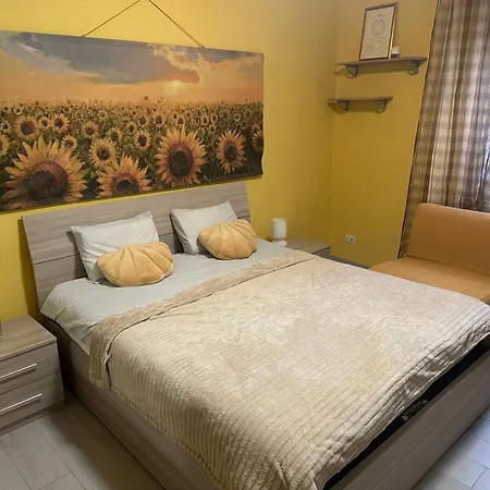 Sunflower Rome