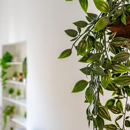 Apartamento Casa Maria Teresa By Rentbeat