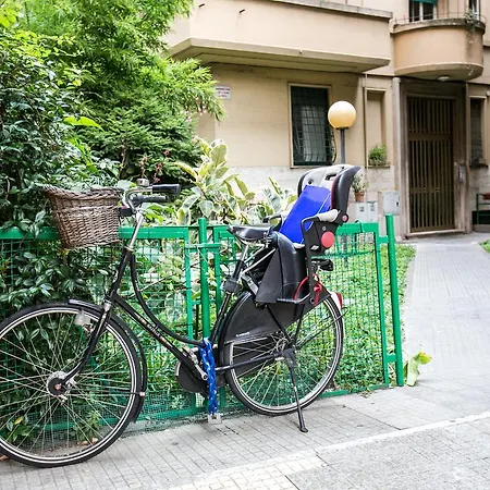 Alfonso Guest House