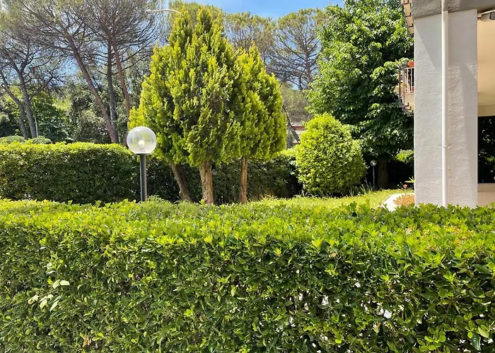 B&B 