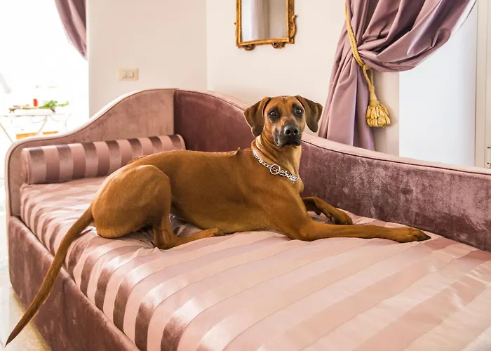 Trastevere Royal Suite