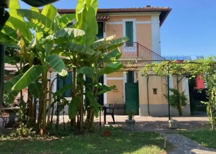 Green House Di Alberto