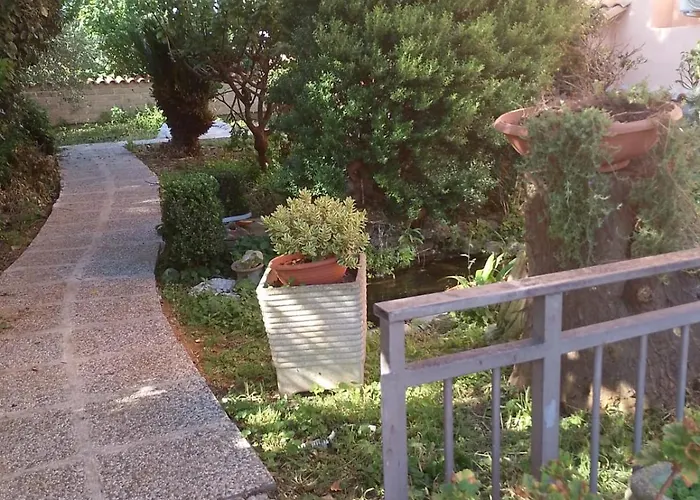 Domus Dora