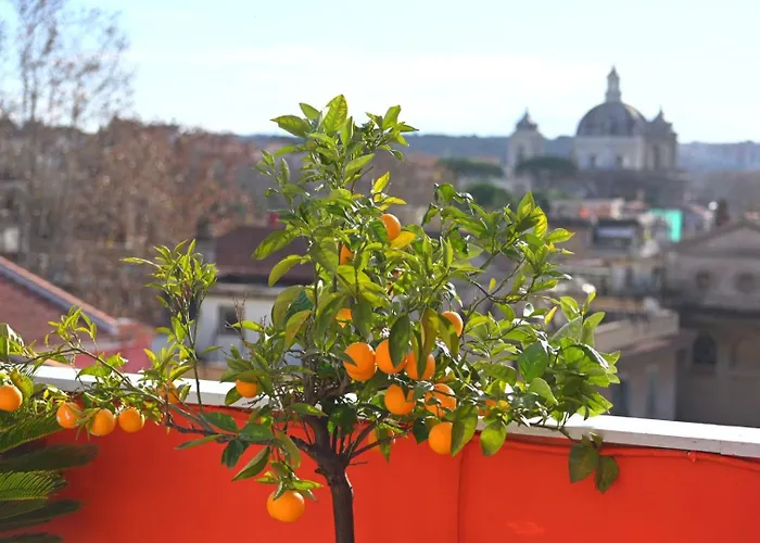 Farnesina Rooftop Terrace