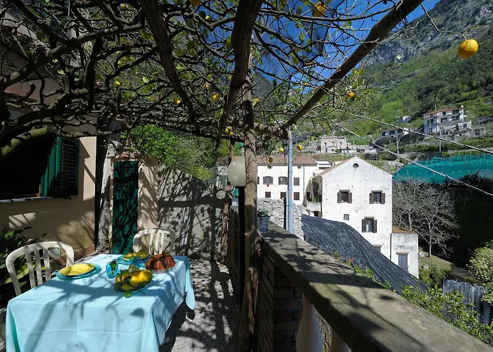 Lemon Garden