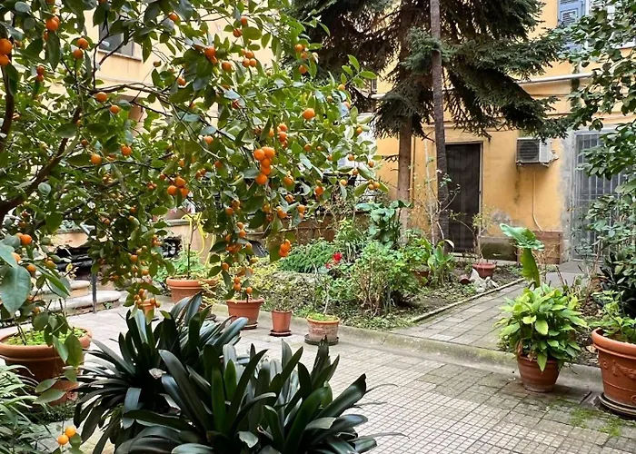 Zaffiro San Lorenzo