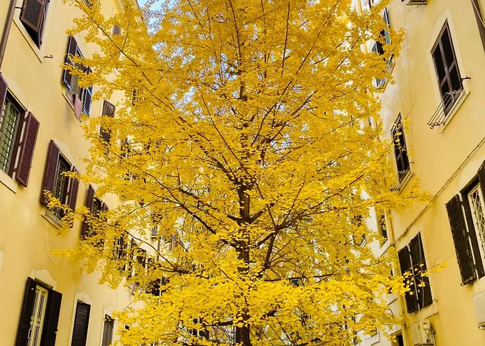 Il Cortile Del 900