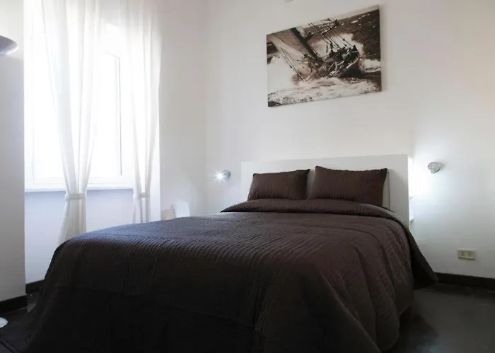 Magenta Navona Design