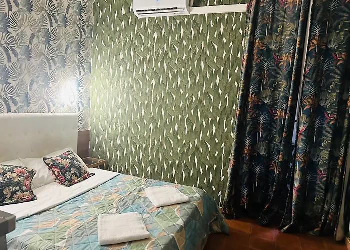 Magenta Roma House