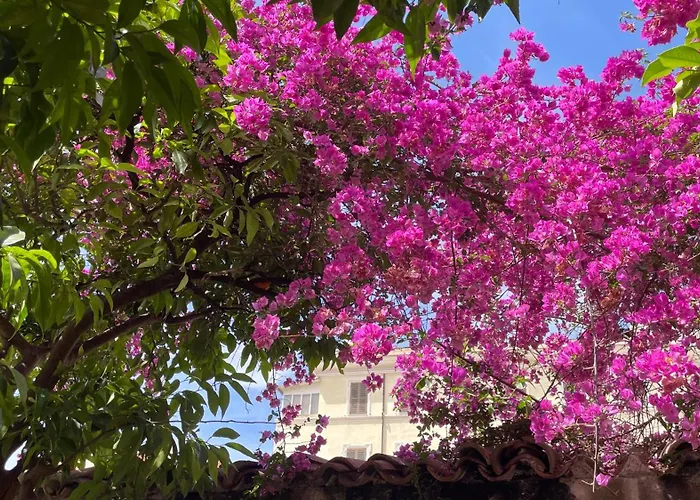 The Quiet Garden At San Giovanni