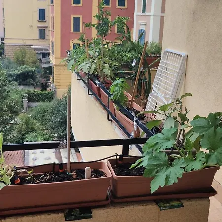 Camera Piazza Bologna Apartment