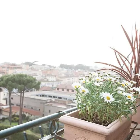 Colosseo Terrace - Topcollection