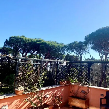Attico “La Grande Bellezza” Apartment