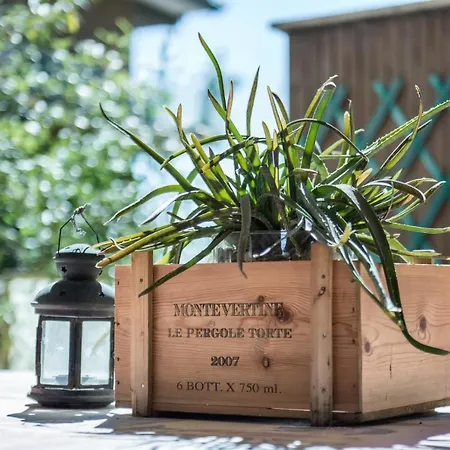 Appartamento Con Giardino Via Silvestri