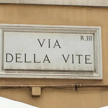 La Maison De La Vie