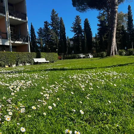 Parco Tirreno Hotel