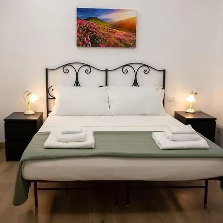 Fiqus Apartment