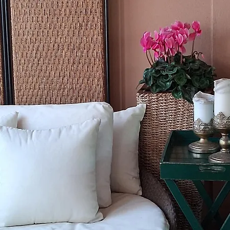The Olive Grove Roma Guest House