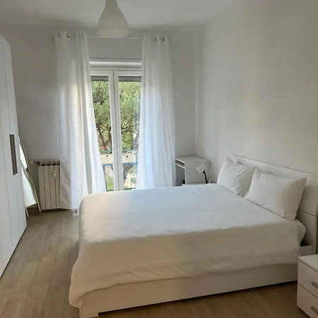 Dandon Home