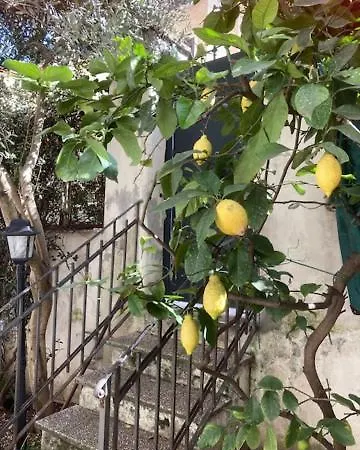 Appartamento Casa Priscilla