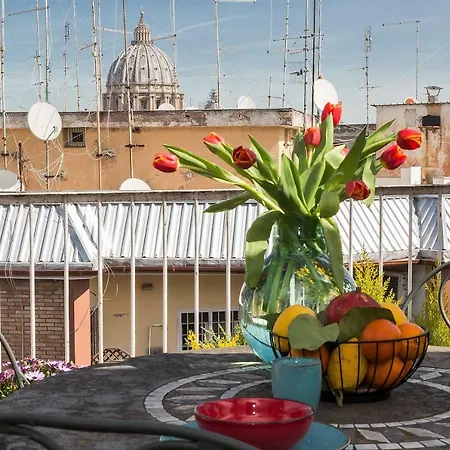 Dome Terrace Apartment