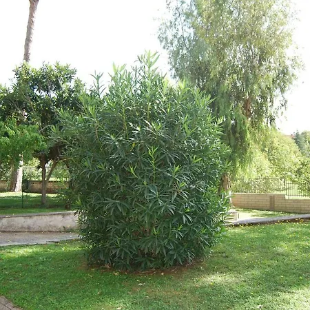 Roma Eur Bed & Breakfast